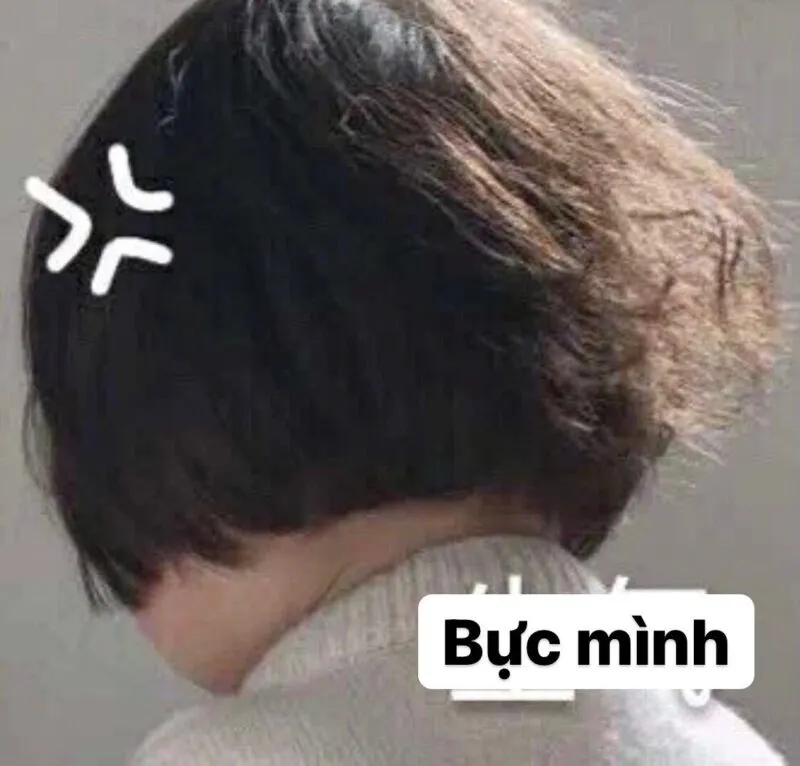 Bộ sưu tập hơn 50 hình ảnh meme tức giận siêu lầy lội