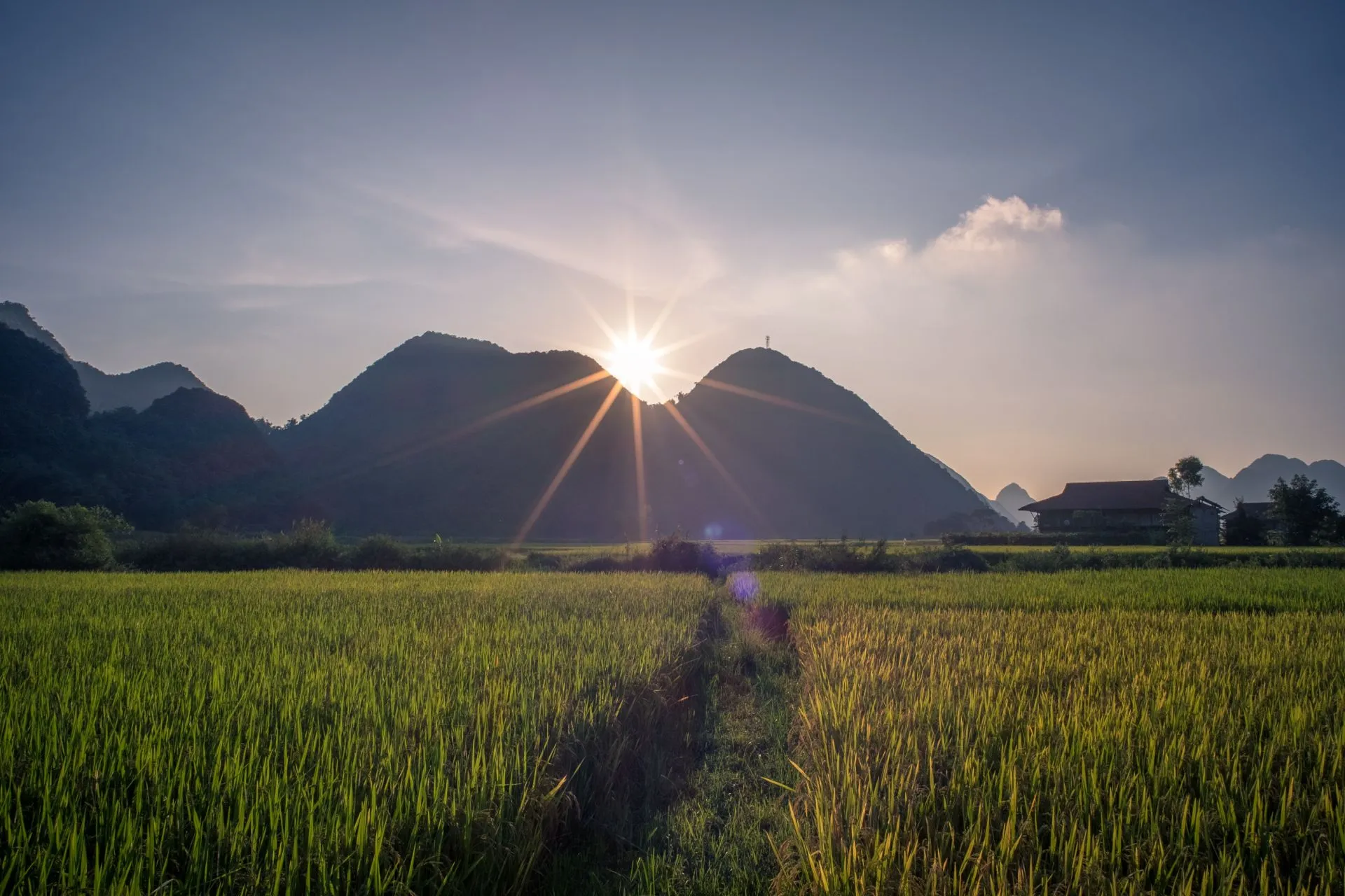 Chiêm ngưỡng bộ ảnh hùng vĩ của phong cảnh bình minh thanh bình