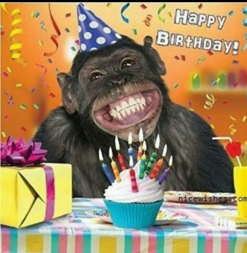 Chúc mừng sinh nhật siêu lầy lội với bộ ảnh happy birthday meme