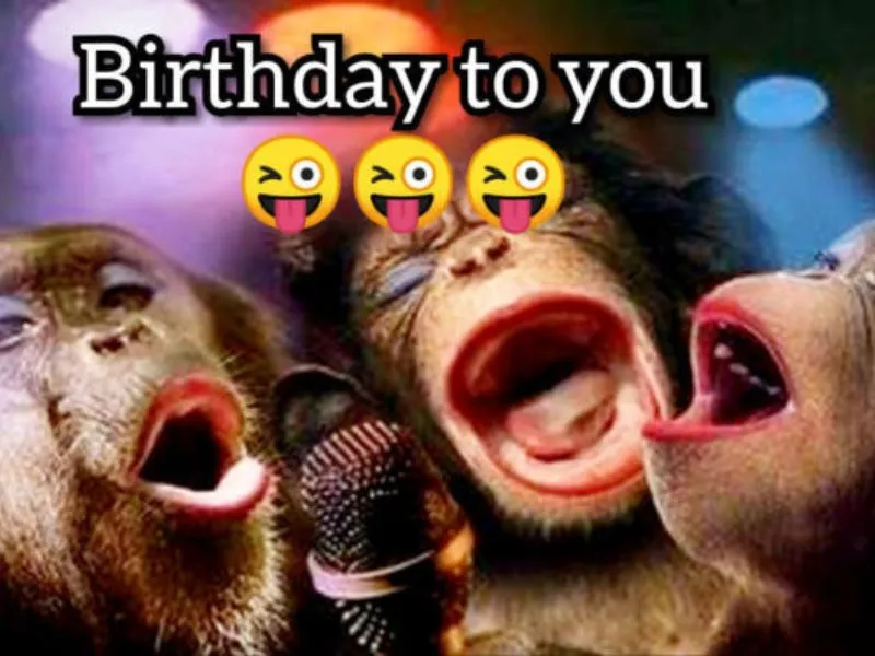 Chúc mừng sinh nhật siêu lầy lội với bộ ảnh happy birthday meme