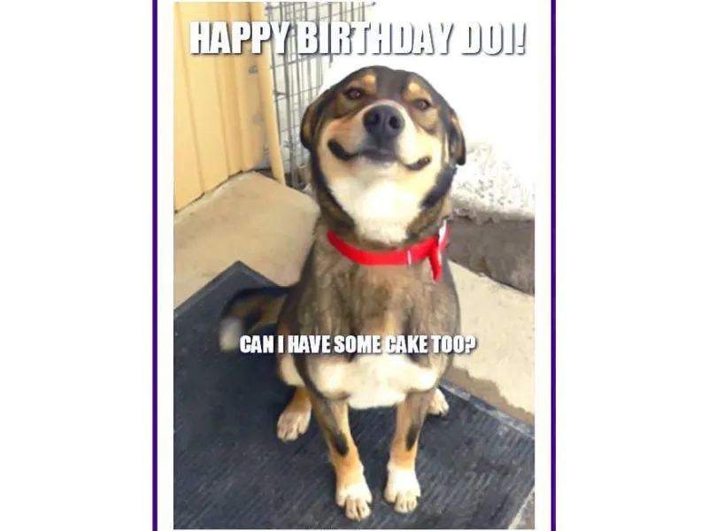 Chúc mừng sinh nhật siêu lầy lội với bộ ảnh happy birthday meme