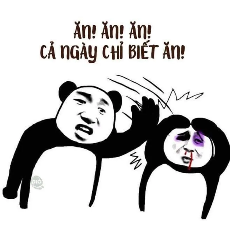 Cười bể bụng với những hình meme tát hài hước nhất mạng xã hội