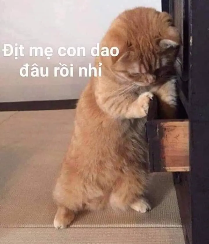 Cười không nhịn nổi với kho ảnh meme chửi cực mặn và hài hước