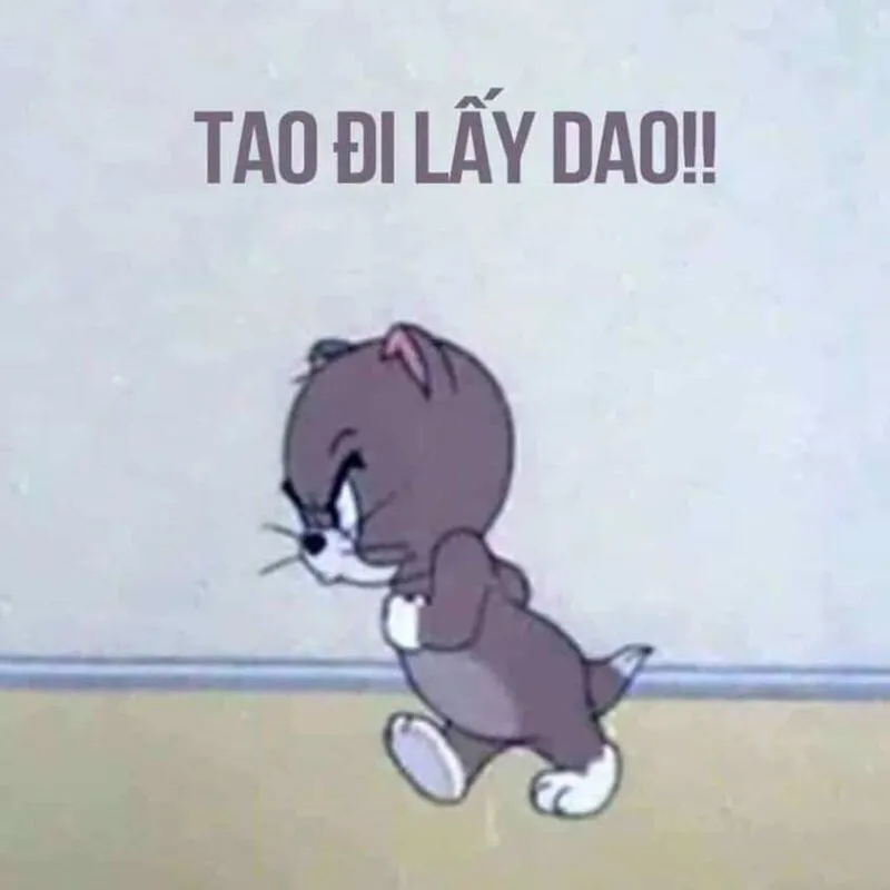 Cười không nhịn nổi với kho ảnh meme chửi cực mặn và hài hước