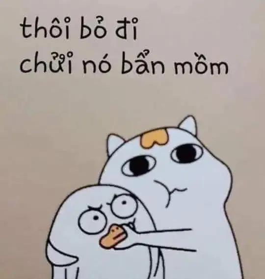 Cười không nhịn nổi với kho ảnh meme chửi cực mặn và hài hước