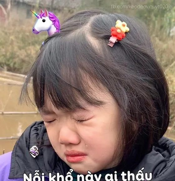 Cười không nhịn nổi với những hình meme em bé lầy lội nhất quả đất