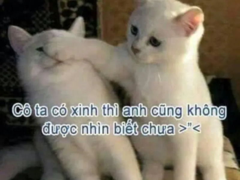 Cười ngất với meme tình yêu siêu bựa cho giới trẻ hiện nay