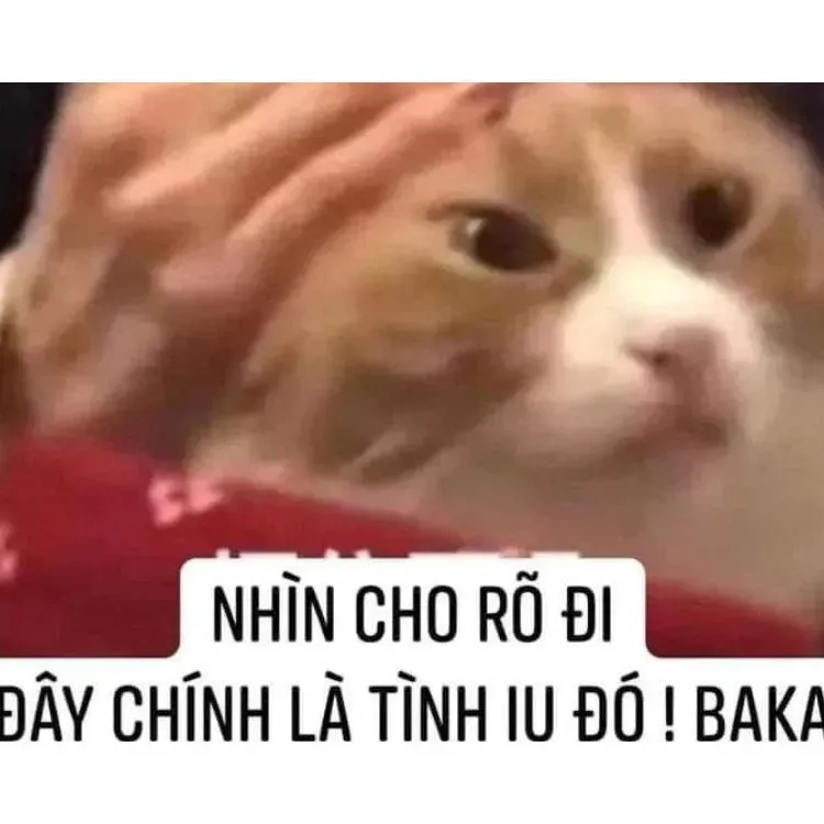 Cười ngất với meme tình yêu siêu bựa cho giới trẻ hiện nay