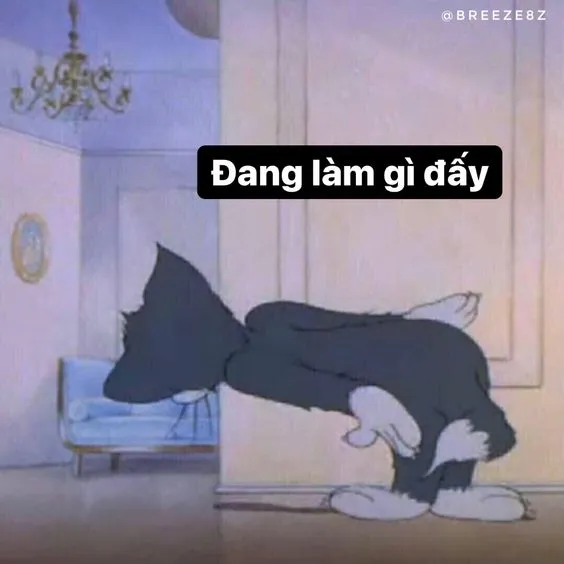 Cười ngất với meme tình yêu siêu bựa cho giới trẻ hiện nay