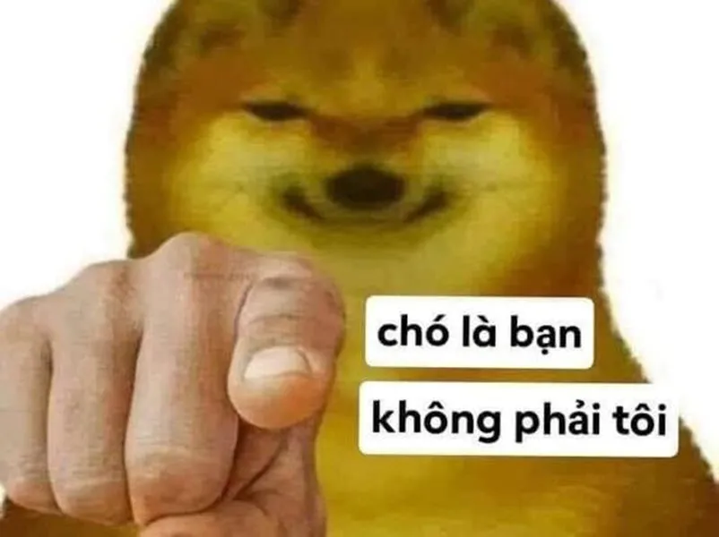 Cười té ghế với 100+ ảnh meme chỉ tay biểu tượng cho sự mỉa mai châm biếm