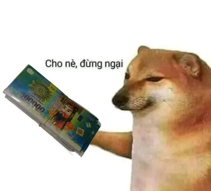 Cười té ghế với bộ ảnh meme ngại ngùng hài hước nhất