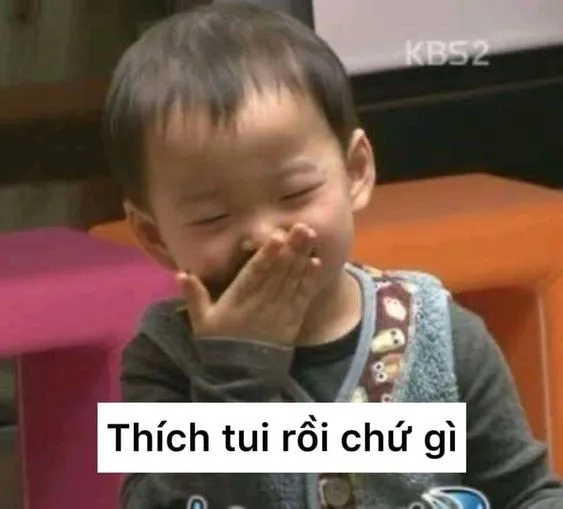 Cười té ghế với bộ ảnh meme ngại ngùng hài hước nhất