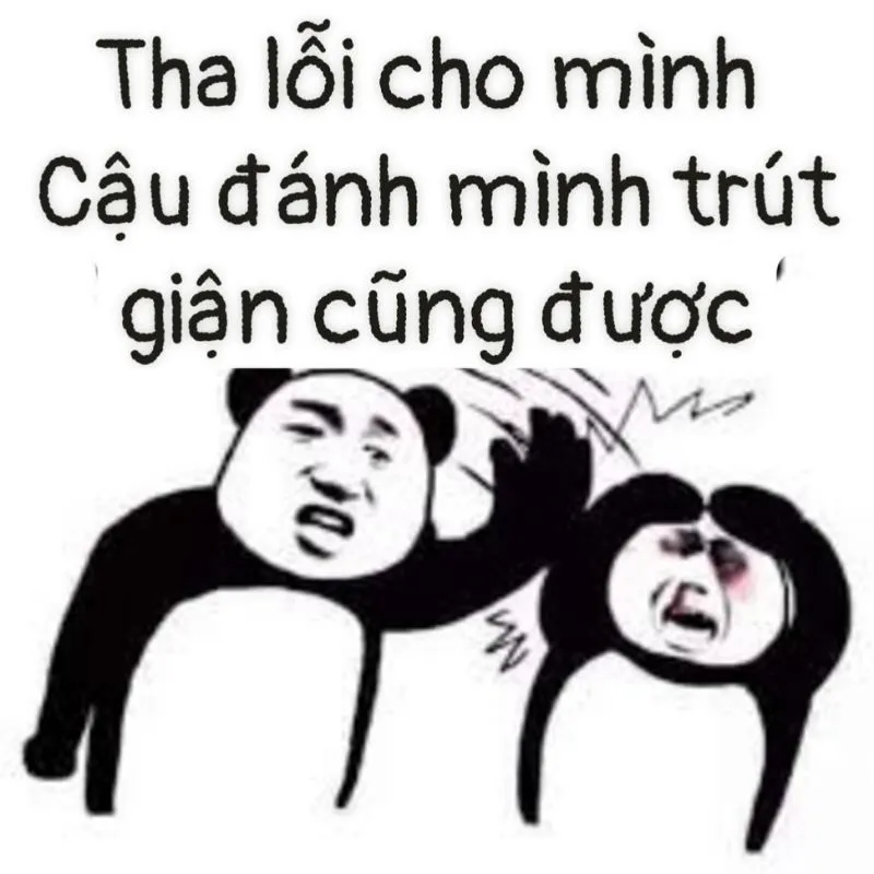 Hình meme xin lỗi hài hước giúp bạn xoa dịu mọi bực tức căng thẳng