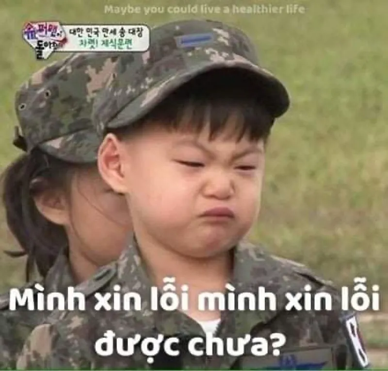 Hình meme xin lỗi hài hước giúp bạn xoa dịu mọi bực tức căng thẳng