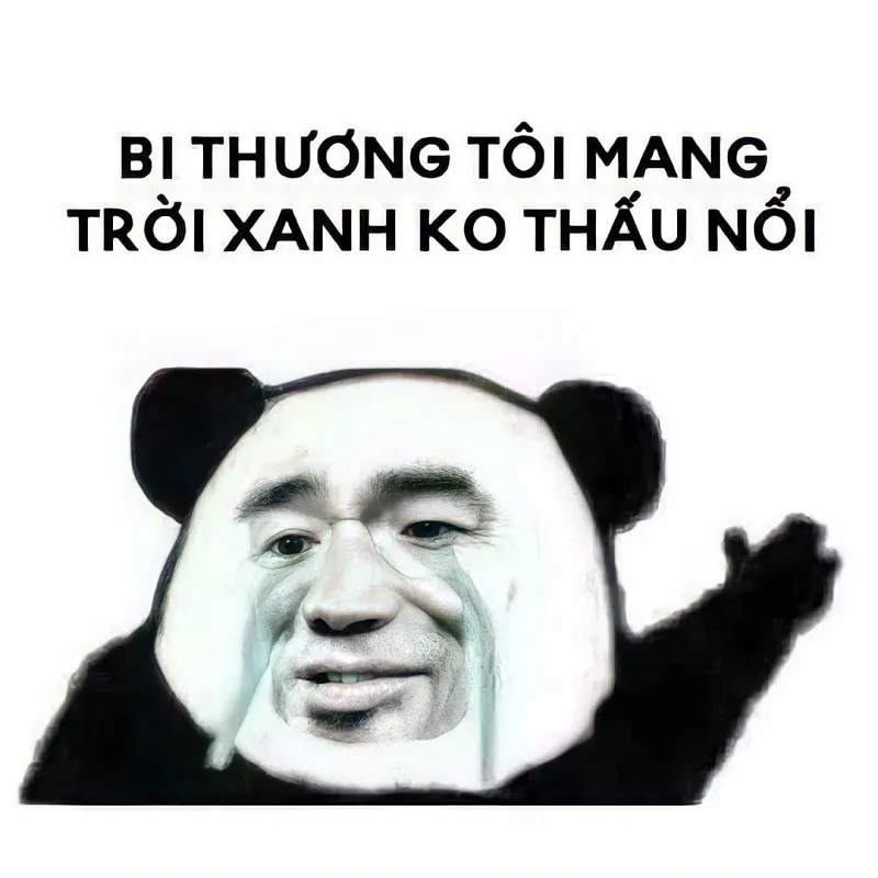 Hình meme xin lỗi hài hước giúp bạn xoa dịu mọi bực tức căng thẳng