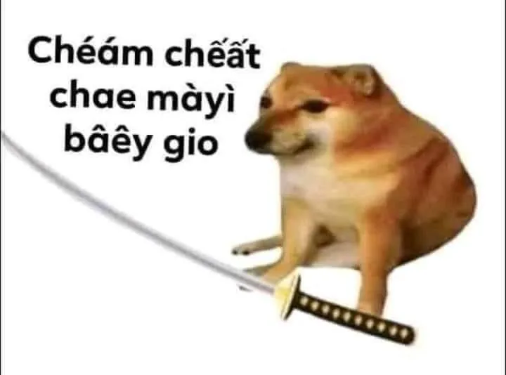 Khám phá kho hình meme Cheems hài hước, cười bể bụng