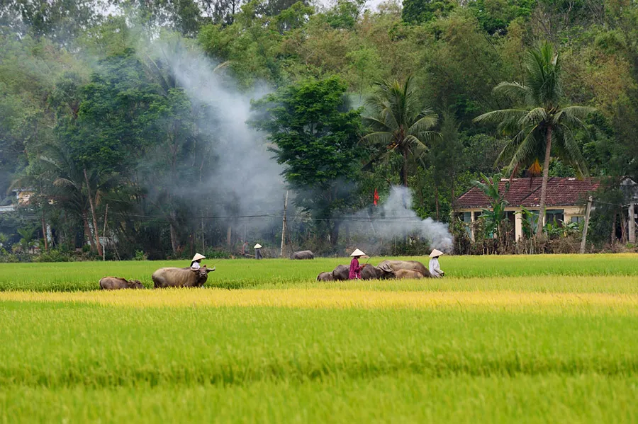 Khám phá phong cảnh làng quê thơ mộng qua những bức ảnh