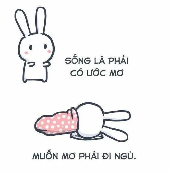 Khi những hình ảnh meme ngủ ngon hài hước nhất thay lời chúc ngủ ngon