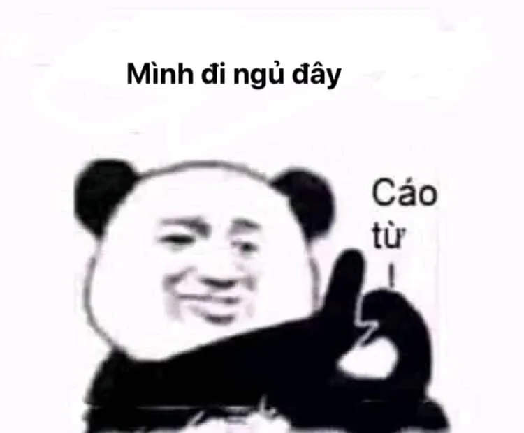 Khi những hình ảnh meme ngủ ngon hài hước nhất thay lời chúc ngủ ngon