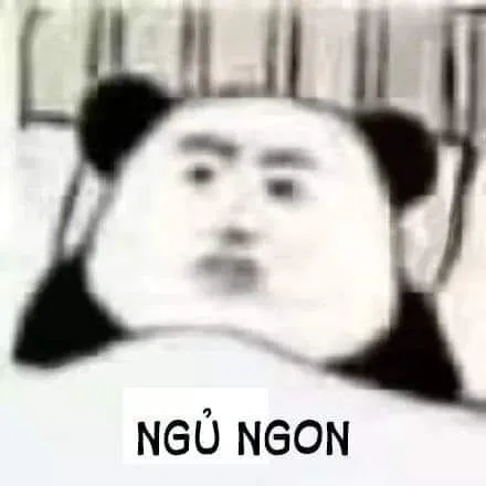 Khi những hình ảnh meme ngủ ngon hài hước nhất thay lời chúc ngủ ngon