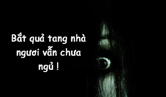 Khi những hình ảnh meme ngủ ngon hài hước nhất thay lời chúc ngủ ngon