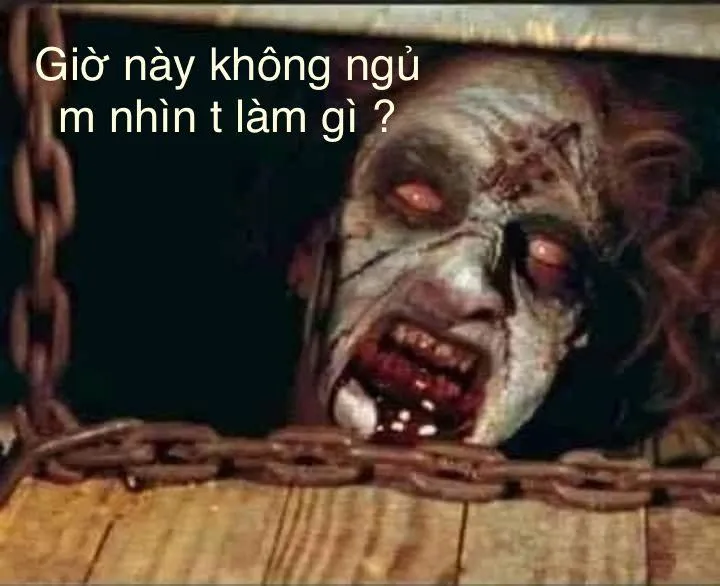 Khi những hình ảnh meme ngủ ngon hài hước nhất thay lời chúc ngủ ngon