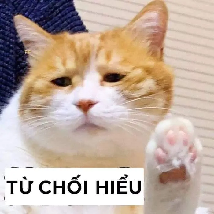 Kho ảnh meme bất lực đỉnh cao nhất khiến bạn bó tay hoàn toàn