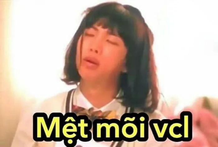 Kho ảnh meme bất lực đỉnh cao nhất khiến bạn bó tay hoàn toàn