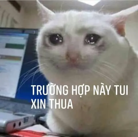 Kho ảnh meme bất lực đỉnh cao nhất khiến bạn bó tay hoàn toàn