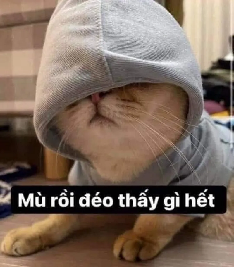 Kho ảnh meme bất lực đỉnh cao nhất khiến bạn bó tay hoàn toàn