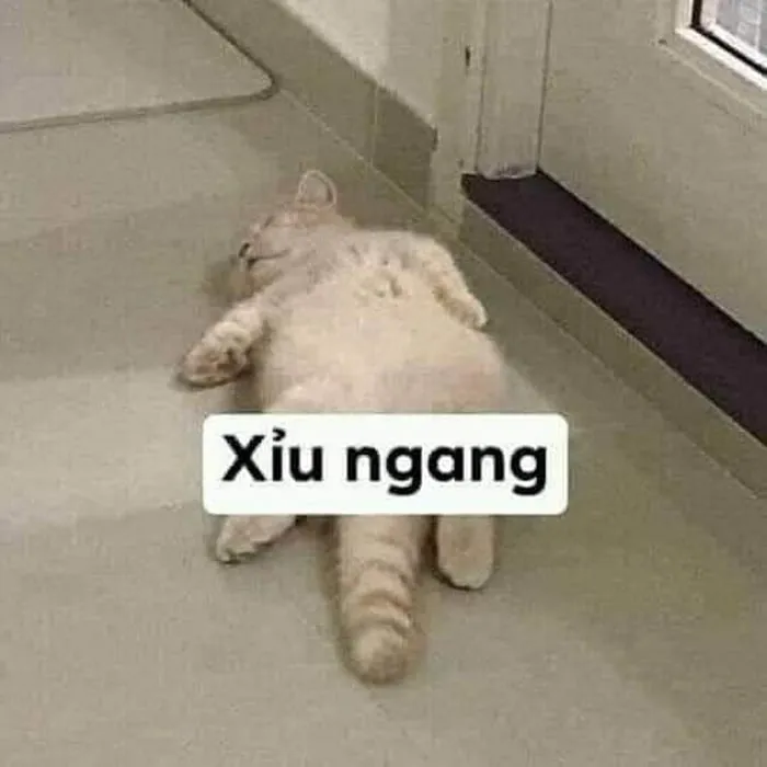 Kho ảnh meme bất lực đỉnh cao nhất khiến bạn bó tay hoàn toàn