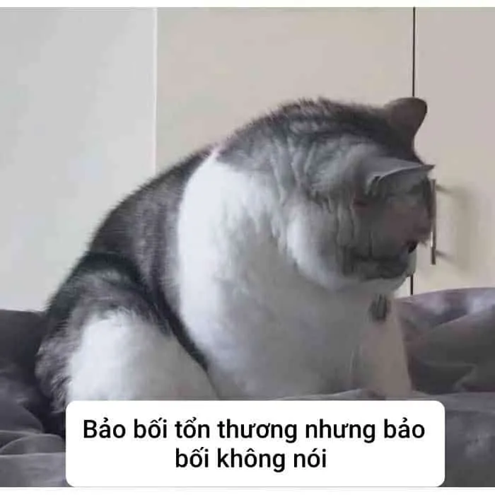 Kho ảnh meme bất lực đỉnh cao nhất khiến bạn bó tay hoàn toàn