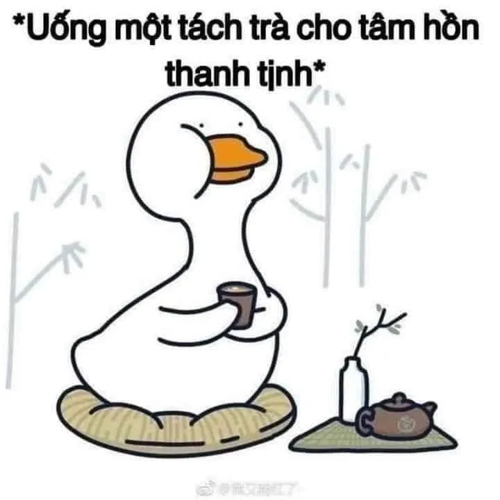 Kho ảnh meme bất lực đỉnh cao nhất khiến bạn bó tay hoàn toàn