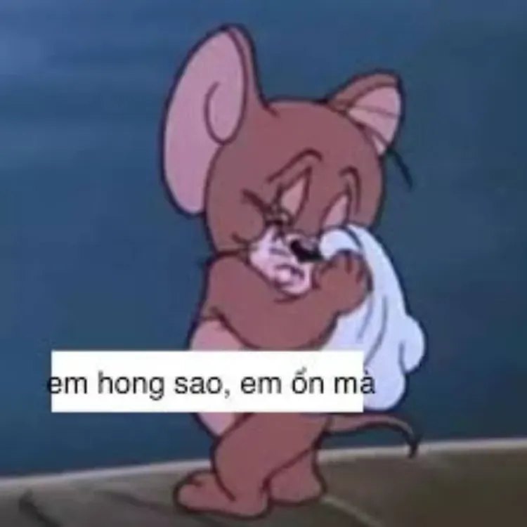 Kho ảnh meme khóc mang nhiều cung bậc cảm xúc buồn khác nhau