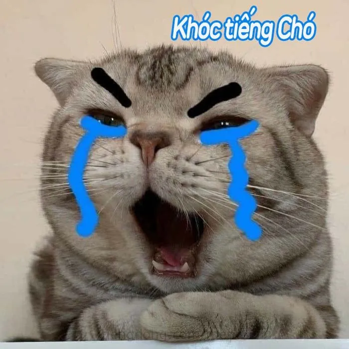 Kho ảnh meme khóc mang nhiều cung bậc cảm xúc buồn khác nhau