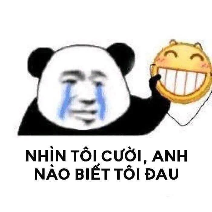 Kho ảnh meme khóc mang nhiều cung bậc cảm xúc buồn khác nhau