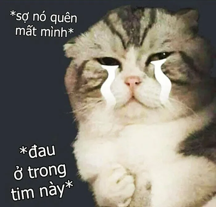 Kho ảnh meme khóc mang nhiều cung bậc cảm xúc buồn khác nhau