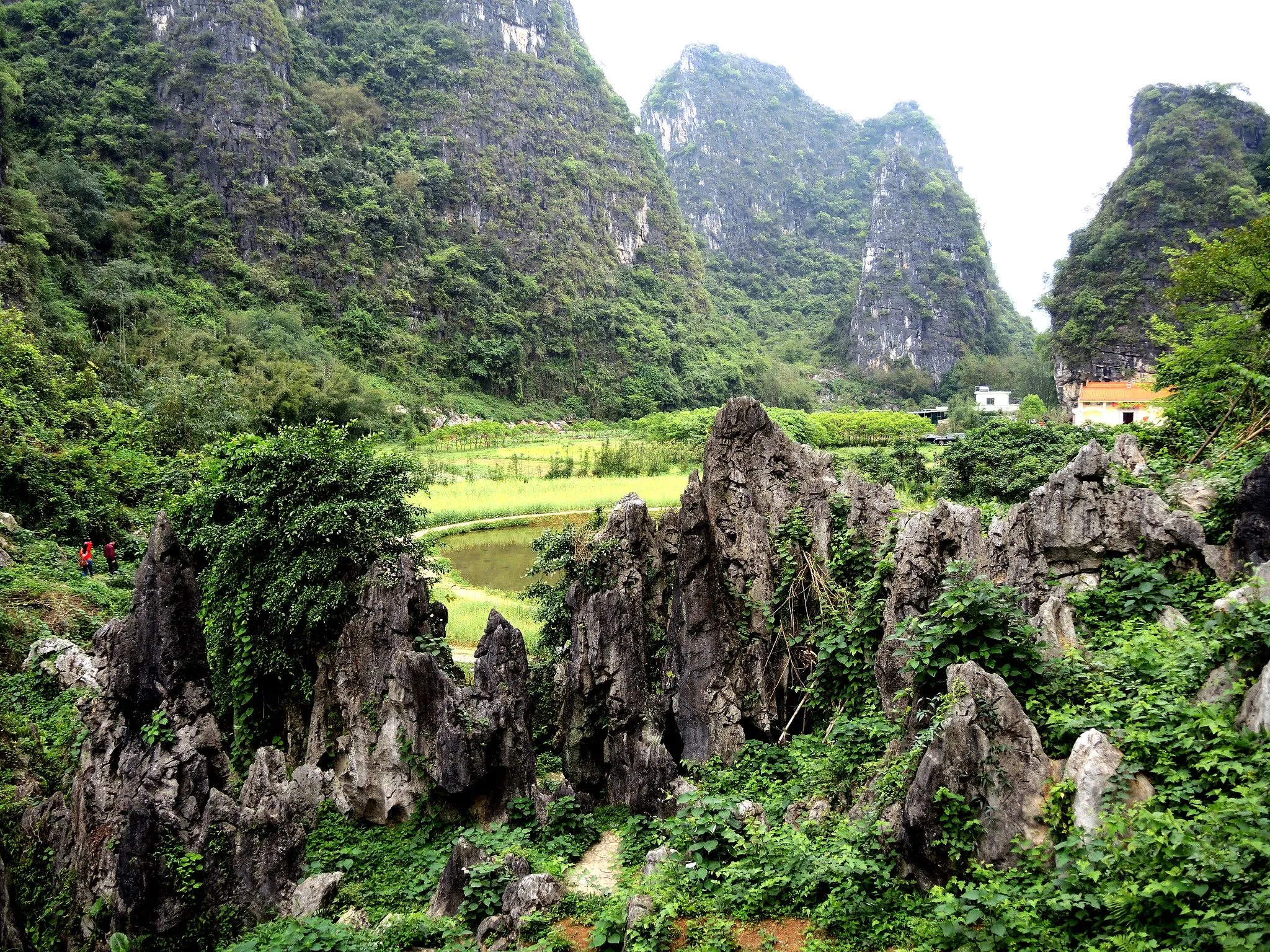 Kho ảnh những kỳ quan thiên nhiên phong cảnh đá vôi tuyệt đẹp