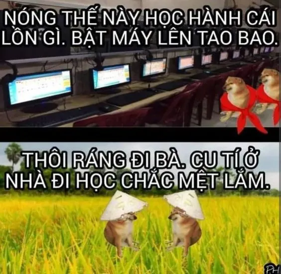 Lan tỏa thông điệp của meme nhân văn mang đến những giá trị tốt đẹp