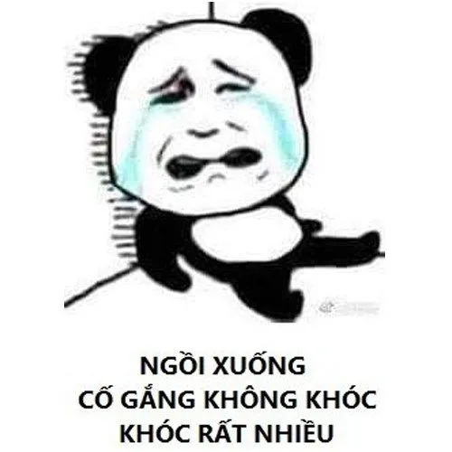 Lan tỏa thông điệp của meme nhân văn mang đến những giá trị tốt đẹp