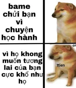 Lan tỏa thông điệp của meme nhân văn mang đến những giá trị tốt đẹp