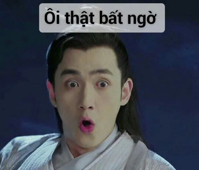 Những biểu cảm kinh điển đến ngỡ ngàng trong bộ ảnh meme bất ngờ