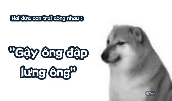 Những hình ảnh shiba meme ẩn sau sự hài hước và siêu cute