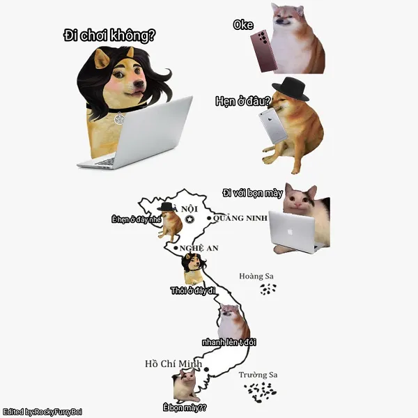 Những hình ảnh shiba meme ẩn sau sự hài hước và siêu cute