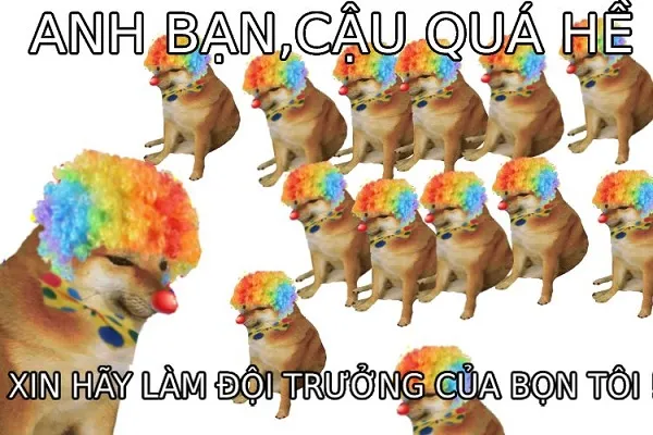 Những hình ảnh shiba meme ẩn sau sự hài hước và siêu cute