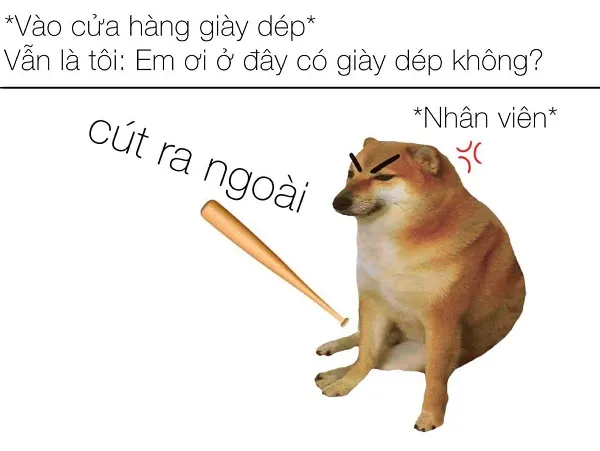 Những hình ảnh shiba meme ẩn sau sự hài hước và siêu cute