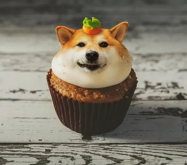 Những hình ảnh shiba meme ẩn sau sự hài hước và siêu cute