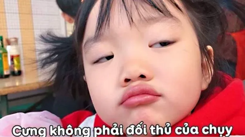 Những khoảnh khắc khó đỡ được tóm gọn trong bộ ảnh meme hài hước