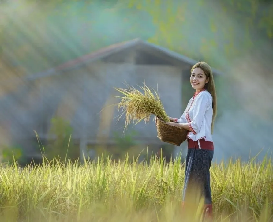 Sắc đẹp dịu dàng trong bộ sưu tập hình ảnh gái quê xinh đẹp