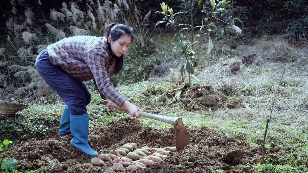 Sắc đẹp dịu dàng trong bộ sưu tập hình ảnh gái quê xinh đẹp